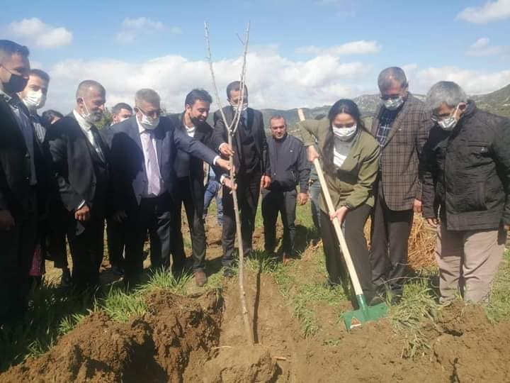 İpek Böcekçiliği Projesi Kapsamında 1500 Dut Fidanı Toprakla Buluştu.